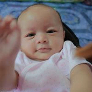 เก๊ก กกกกกกก profile icon