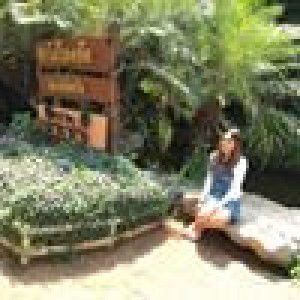 Aumaim HappyHappy profile icon