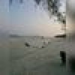 Nona Abd Kok profile icon