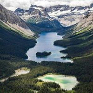 Archana Krishna profile icon