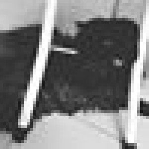 Alice Chanesty profile icon