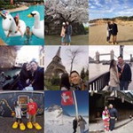 Jolene Tan profile icon