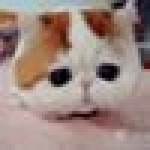 Sirijanya Nonsiri profile icon