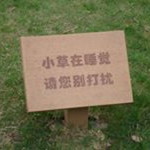 Wei Ling Leau profile icon