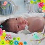 Yanisa Rostip profile icon