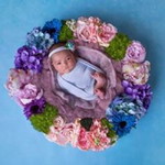 Veronica Lim profile icon