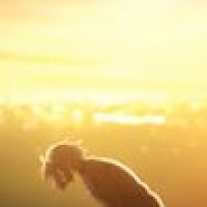 Rikan Tongkaew profile icon