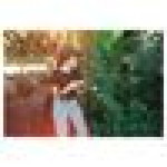 Nantiya Sangawong profile icon