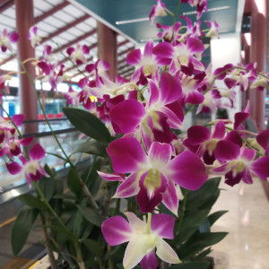 Retno Dwi Kusumaningrum profile icon