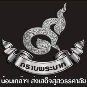 Tem Nutthanan profile icon