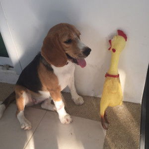 Aomam maibok profile icon