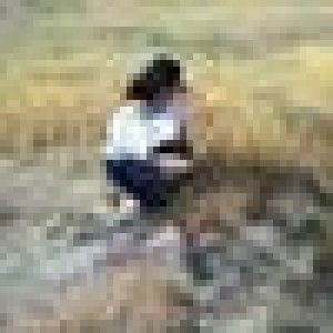 Prank Walai profile icon