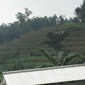 Yadi Irawan profile icon