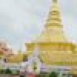 Sudarat Niyompon profile icon