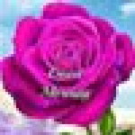 Ashiq Ansari profile icon