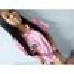 ปลา ปิ้ง profile icon