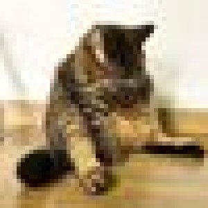 รักกัน เมื่อ ยังหายใจ profile icon