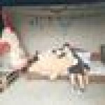 Wasita Lajanthuek profile icon