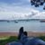 Wantinee Meephol profile icon