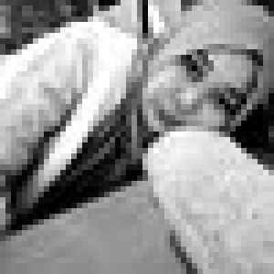 Feby Marer Al-ayyubi profile icon