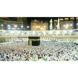 Putri Dwijayanti profile icon