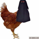 just Copied profile icon