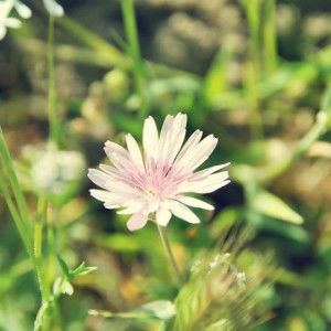 Mudrikah profile icon