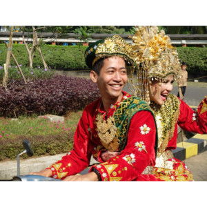 Violita Novaro profile icon