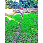 Wannapa Chiangjan Siriwatdhanakul profile icon