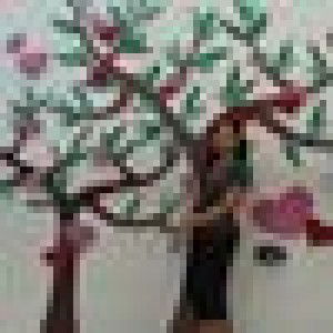 Wande Phonlap profile icon