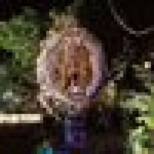 Vallery Najwa profile icon