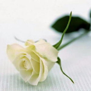 Niesa Esa profile icon