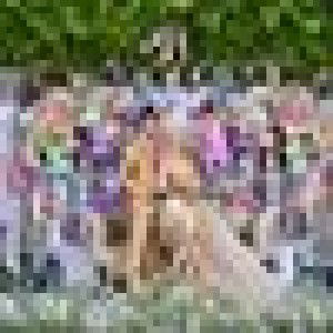 Icha Rahmadhani Annisa Nurbaety profile icon