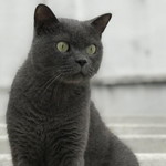 Kaewmini Onweena profile icon