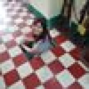 HuiFang Liang profile icon