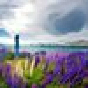 Nur Asilah Amir profile icon