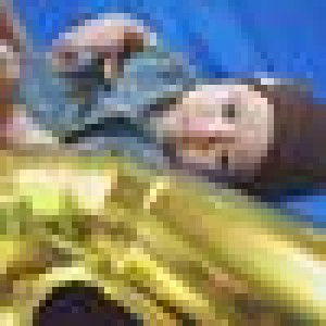 Caselyn Araiza Iglesias profile icon