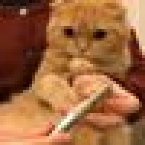 Devi Retno Pertiwi profile icon