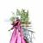 Dita Shary profile icon