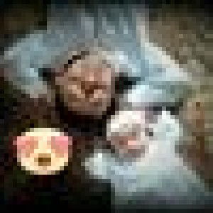 Tari Friscilla profile icon