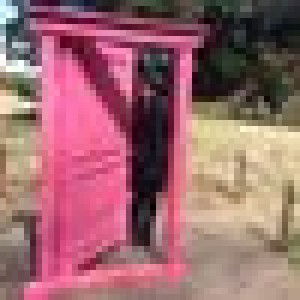 Shufi Handhayani profile icon