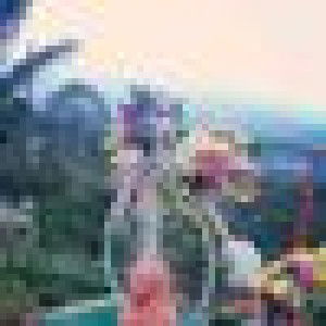 Dîan Nênsi Sîregâr profile icon