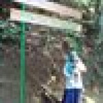 Peni Marlianti profile icon