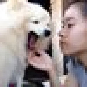 N'wanwan Re'prorsum profile icon