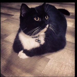 Elsa Mdn profile icon