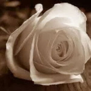 vhee silvie profile icon