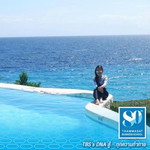 Supranee Juntafoom profile icon