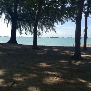 Richie Koh profile icon