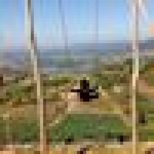 Pa AmOk profile icon