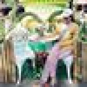 Orawan Khanahan profile icon